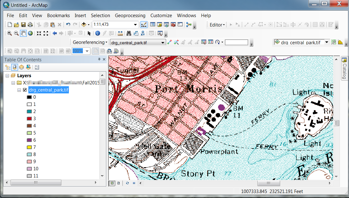 A raster topographic map in ArcGIS